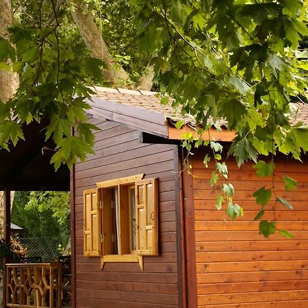 Maji Village Çıralı Esterno foto