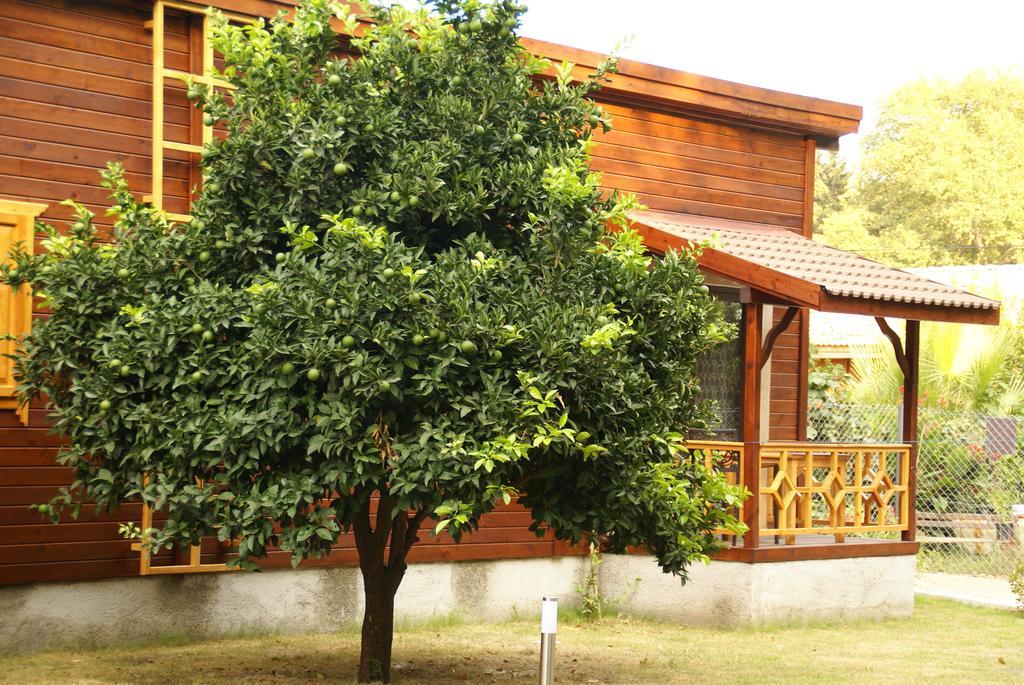 Maji Village Çıralı Esterno foto