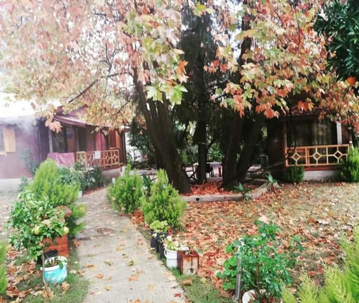 Maji Village Çıralı Esterno foto
